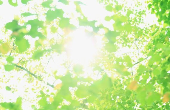 東大阪で正社員を希望されている方必見！